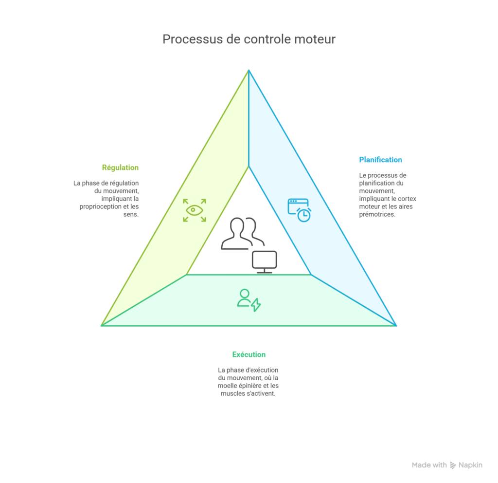 processus du controle moteur